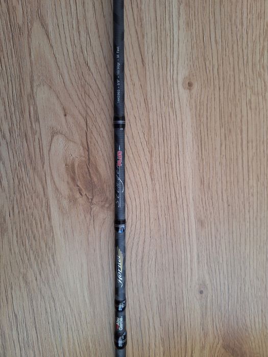 Wędka Abu Garcia Hornet Stinger Plus Cast 205cm - 10-30g