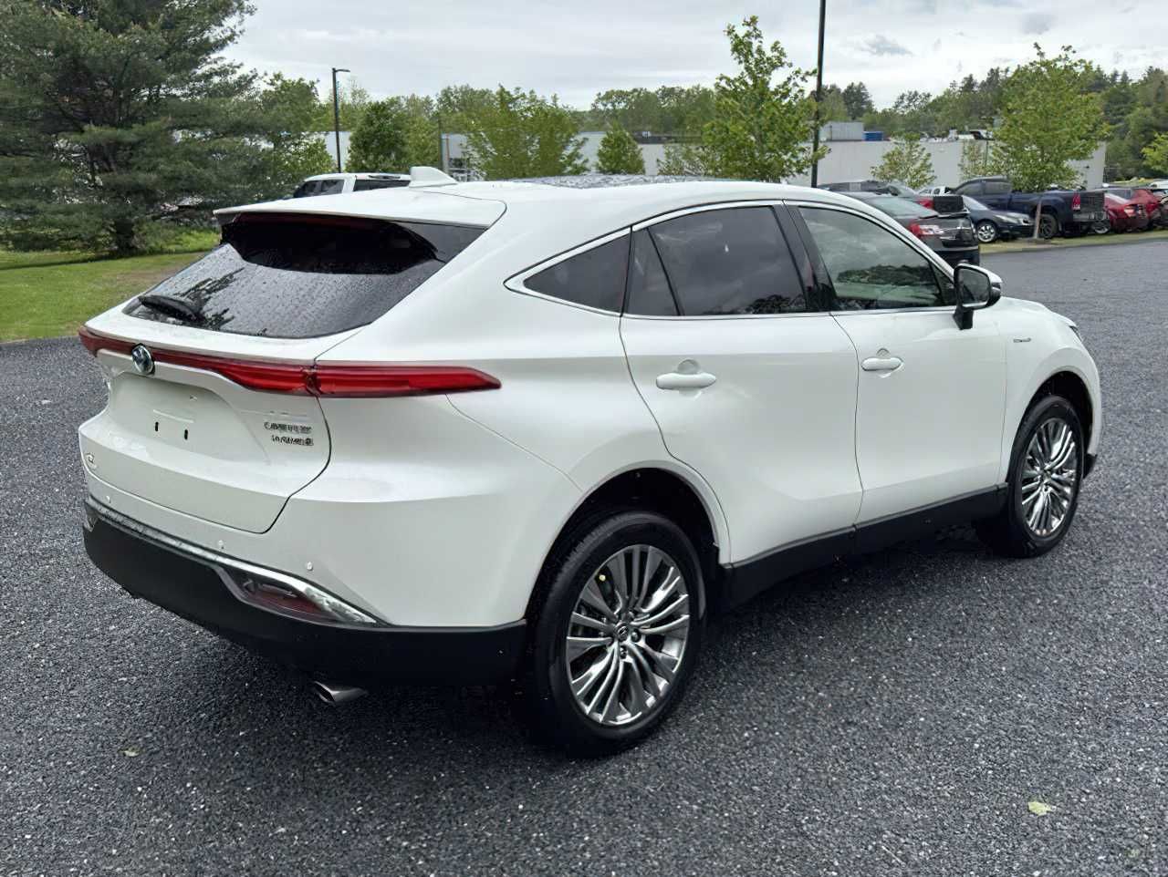 Toyota  Venza Limited      2021