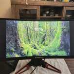 35" Predator Z35 Curved Gaming Monitor