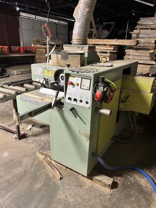 Wielopila Giabbiani grubosciowka