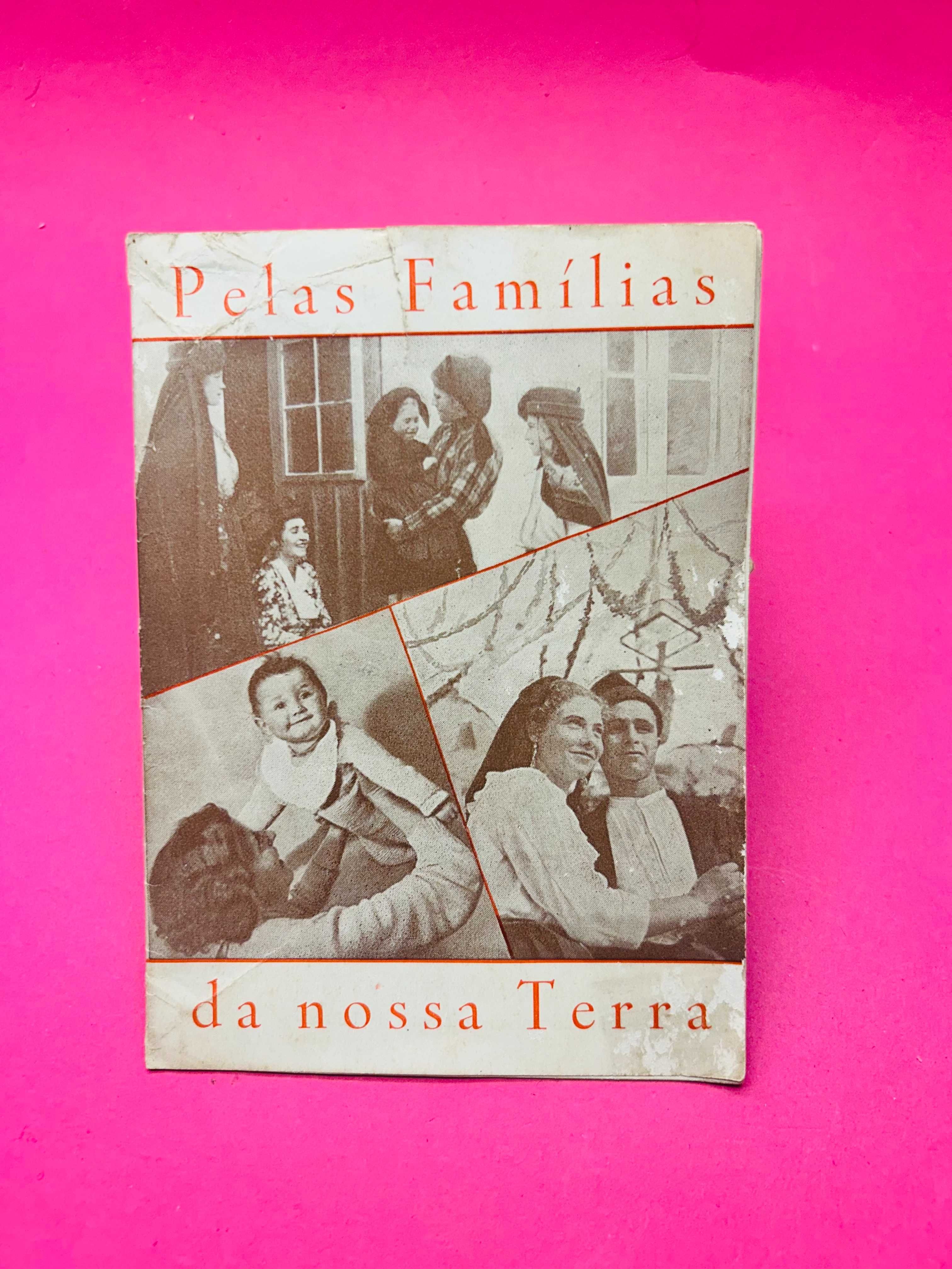 Pelas Famílias da Nossa Terra - Instituto de Serviço Social