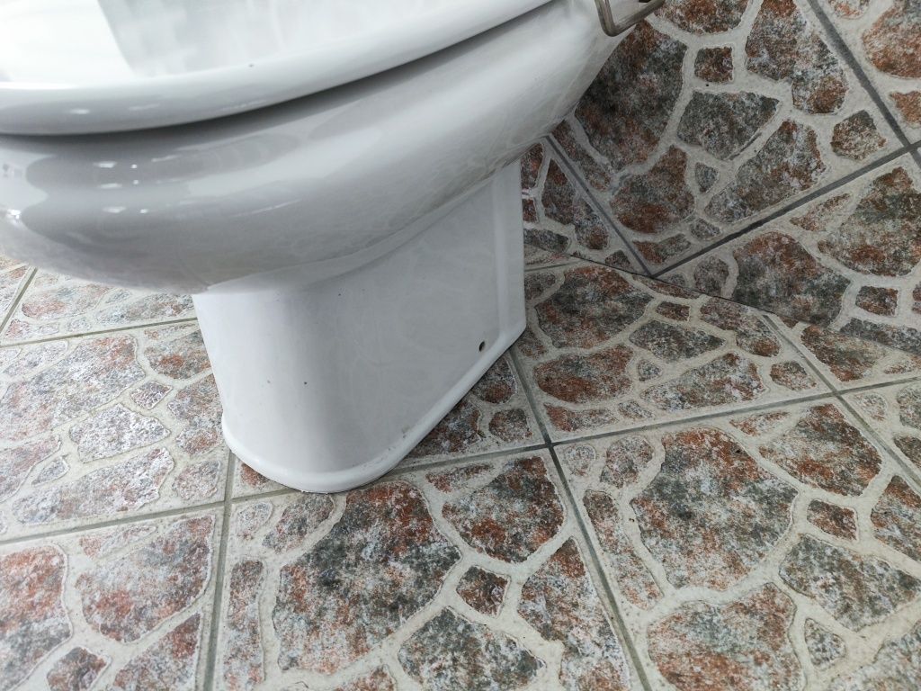 Bidé Roca branco