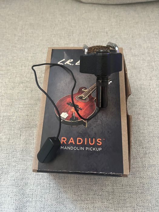 LR Baggs Radius przetwornik