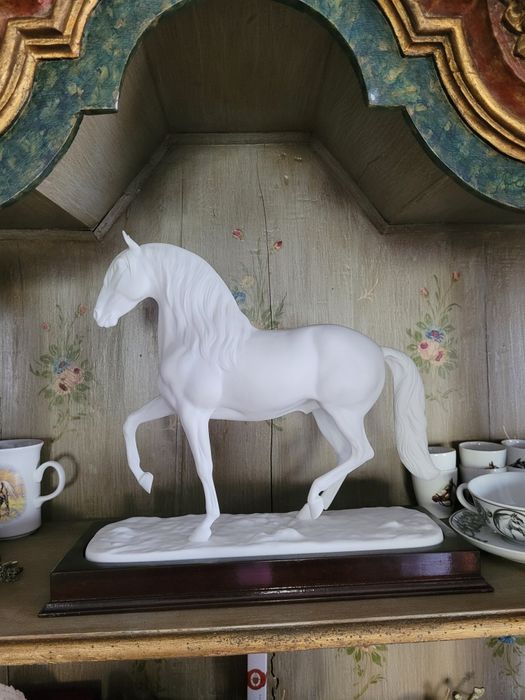 Cavalo Lusitano Vista Alegre