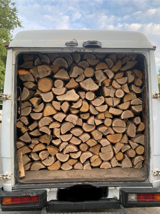 Дуб Береза вільха сосна