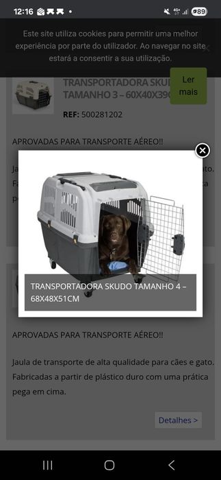 Transportadora - aprovada avião