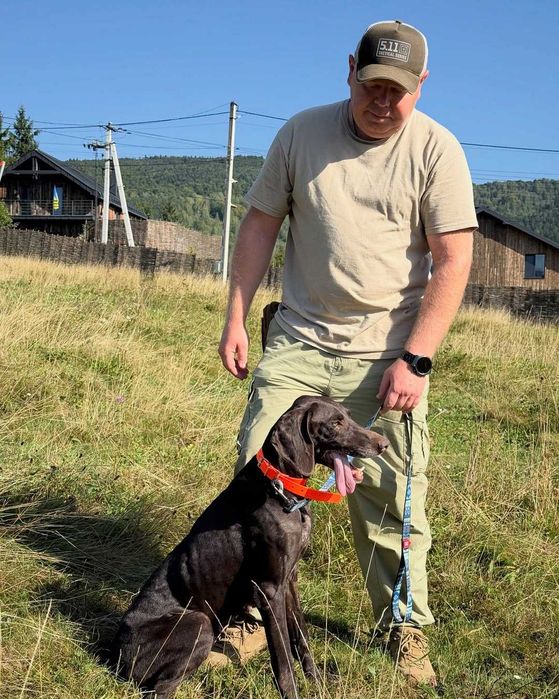 Ора, курцхаар, шукає дім