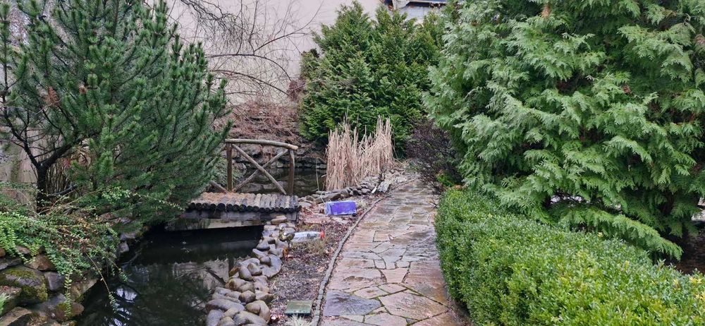 Продаж чудового будинку поруч з сосновим лісом с.Гореничі