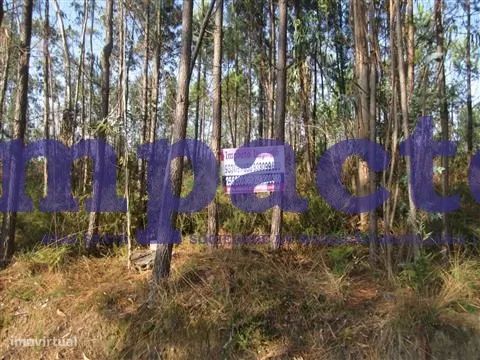 Terreno em Pigeiros, Santa Maria da Feira