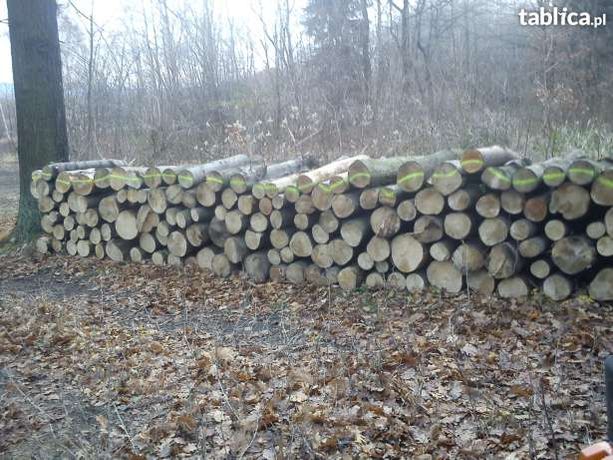 Drewno kominkowe i opałowe od 300zl  worki rospałkowe 12zł suchy buk