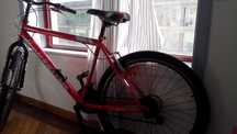Bicicleta adulta JL-WENTI
