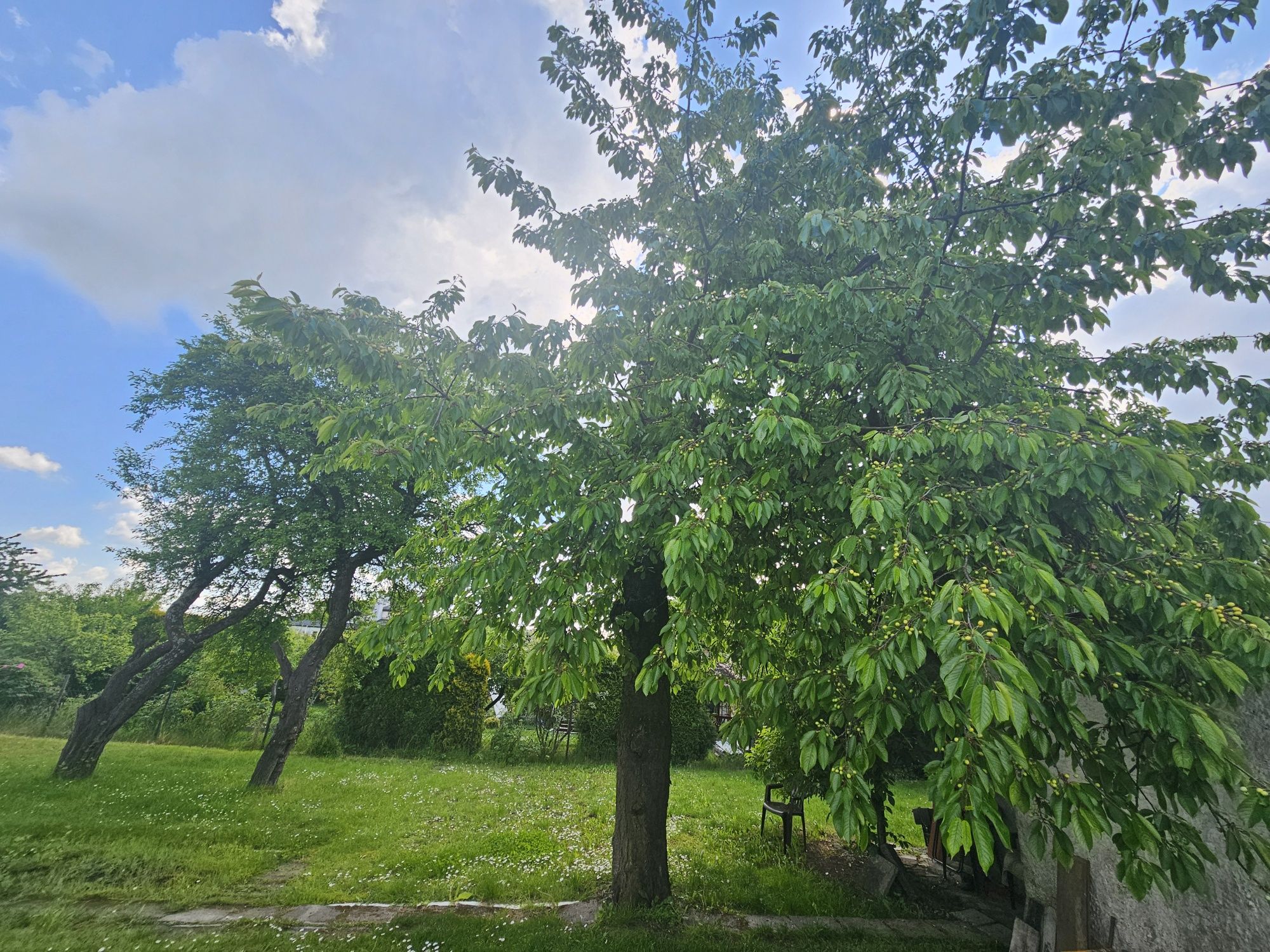 Ogródek Działkowy Rod