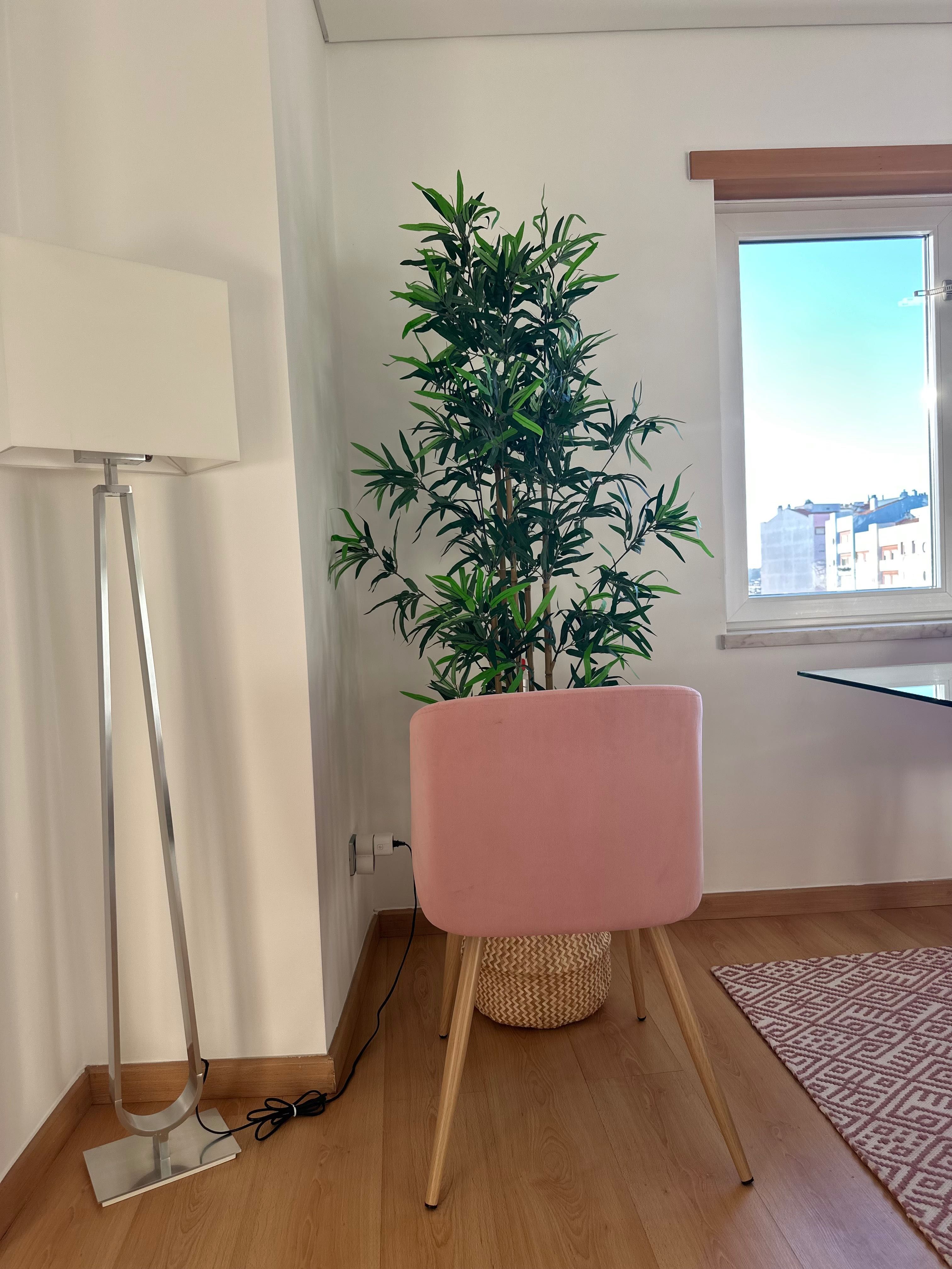 Cadeira de Sala – Rosa Velho, Veludo, Elegante