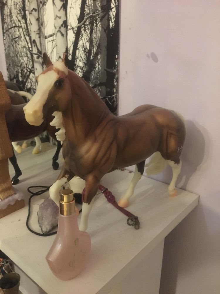 Breyer Czesio Big Chex to cash