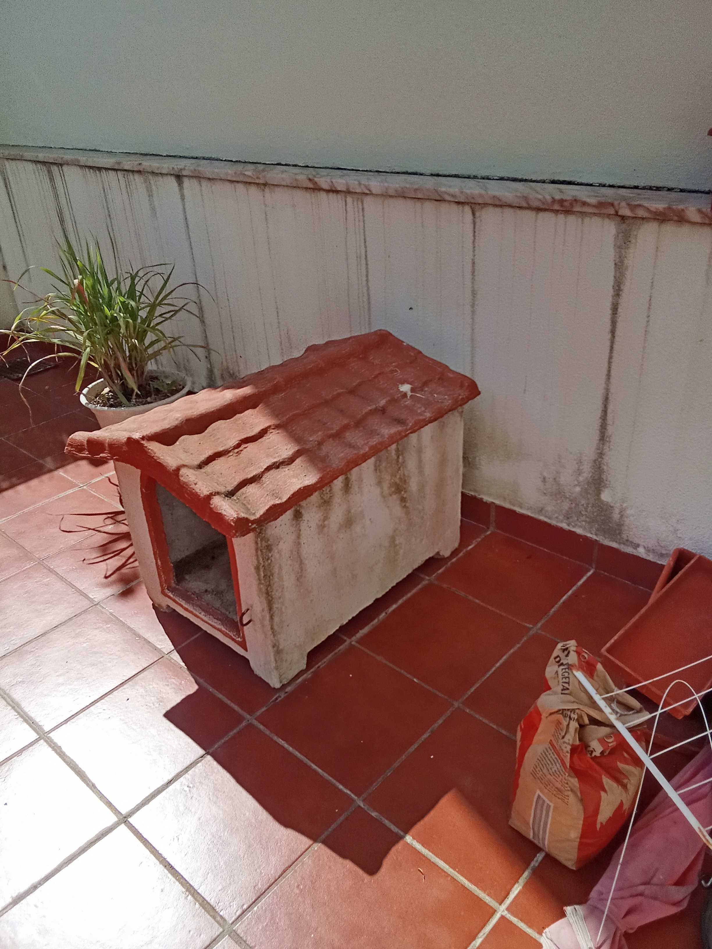 Casota muito gira para cão