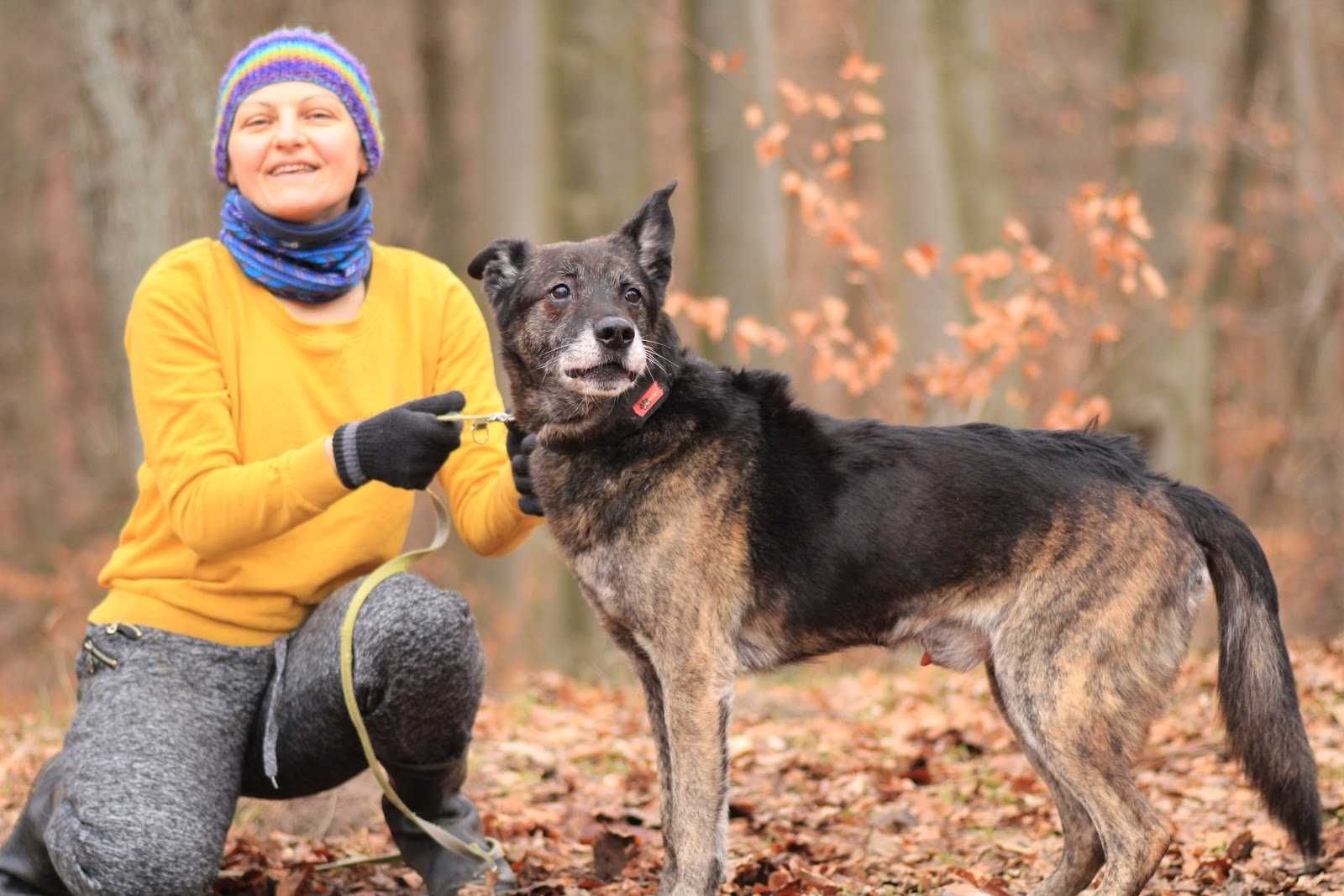 MAKO - po śmierci pana, utrzymuje czystość w mieszkaniu, łagodny