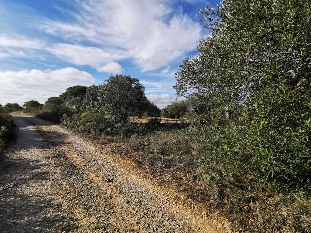 Terreno em Pedrogão