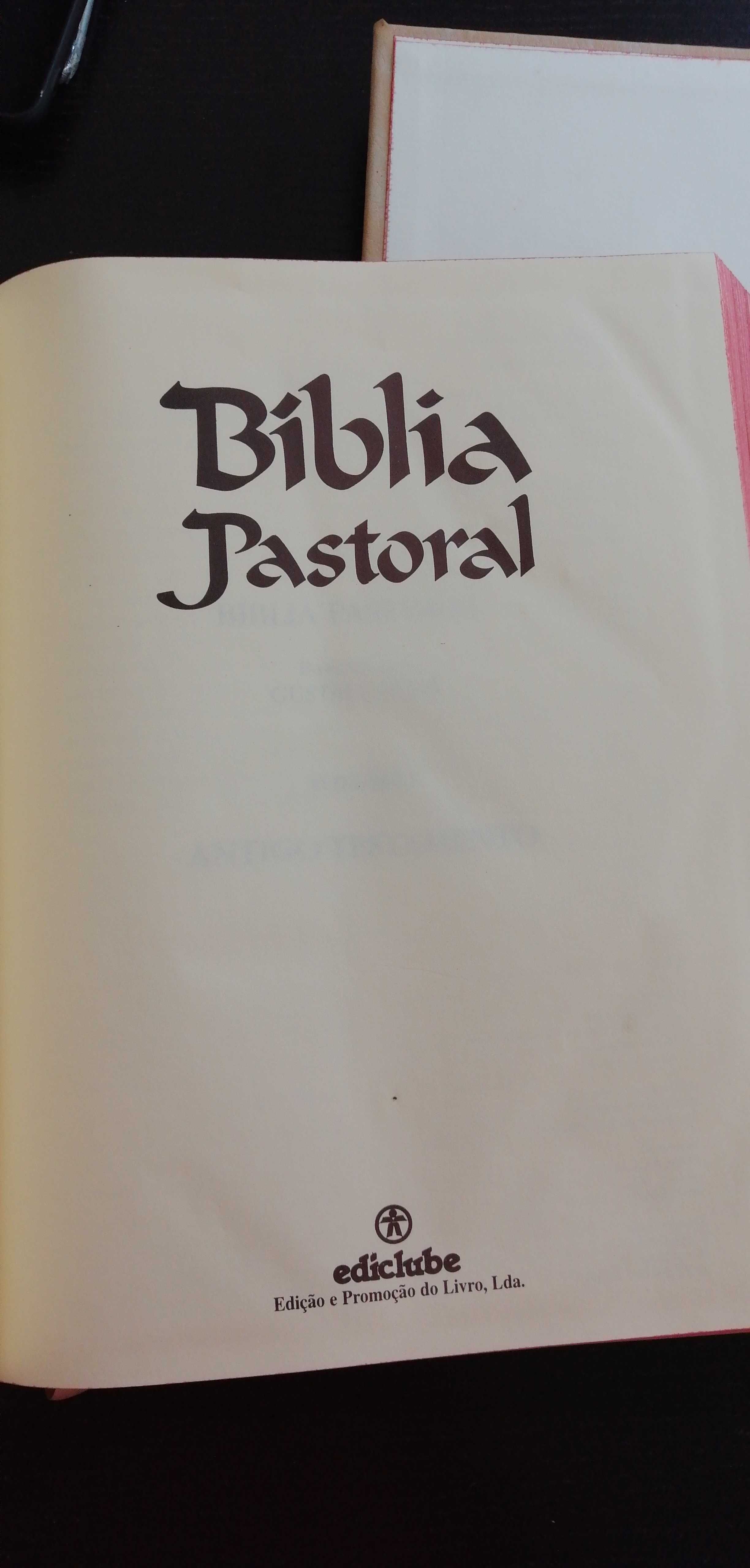 Bíblia Pastoral 2 volumes