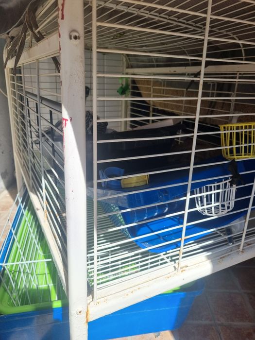 Gaiolas em metal/ Casota em plástico