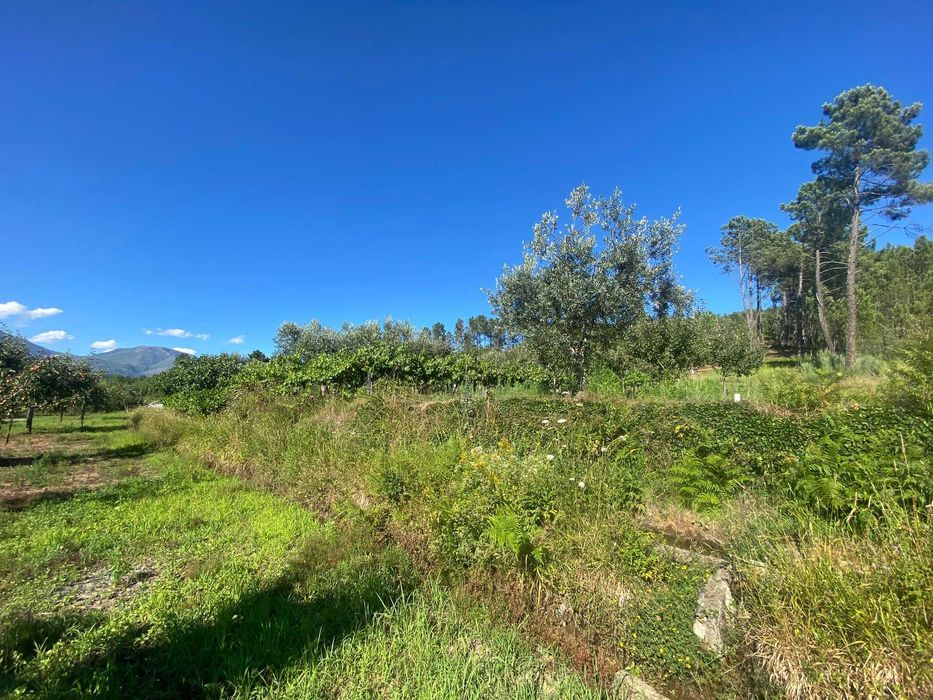 Terreno na Vila do Paul próximo das praias fluvias