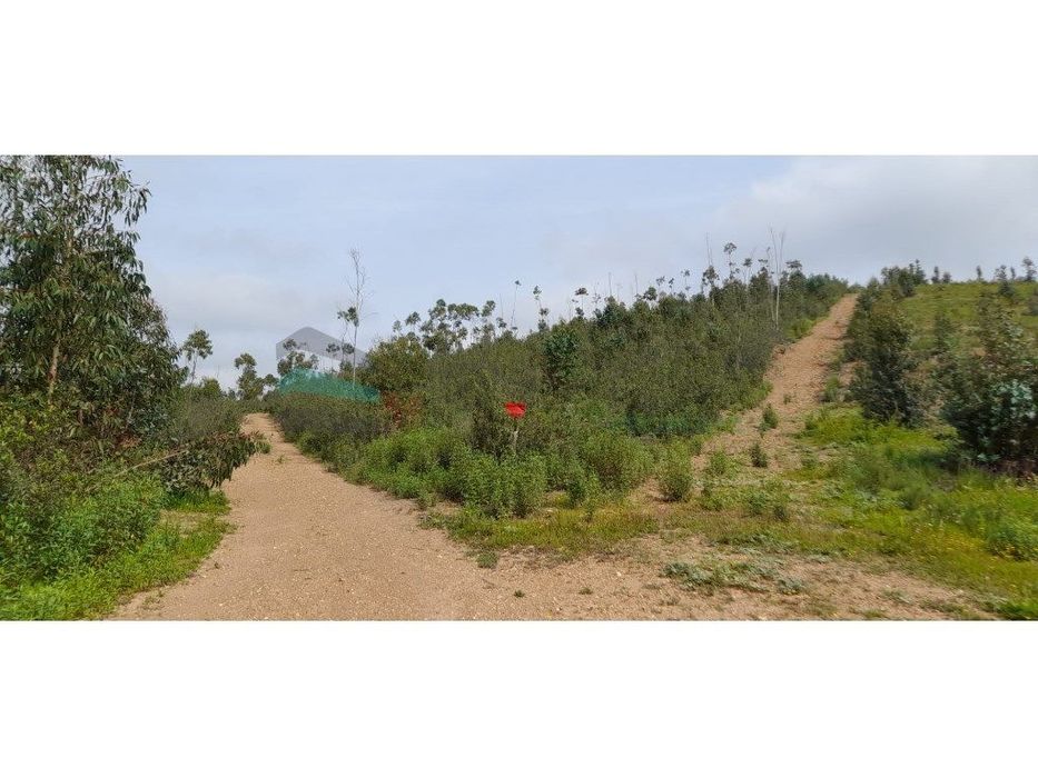 Terreno rústico - Odemira