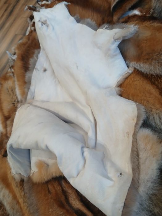 Skóry  z lisa garbowane