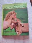 Zachowania koni Margit H. zeitler-Feith
