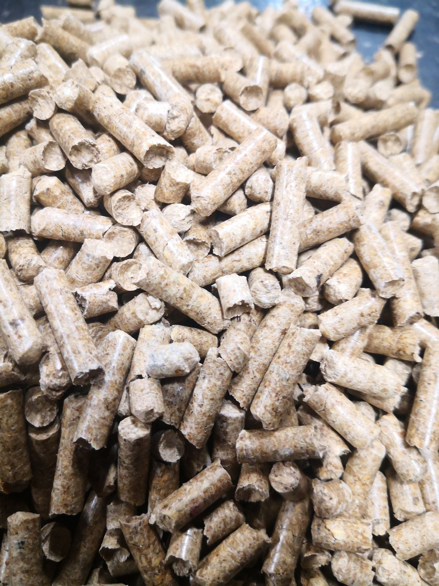 Pellet sosnowy 6 mm