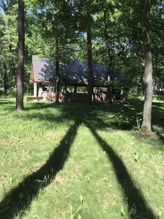 Аренда дома 250 м2 4к 200 соток село Орловщина