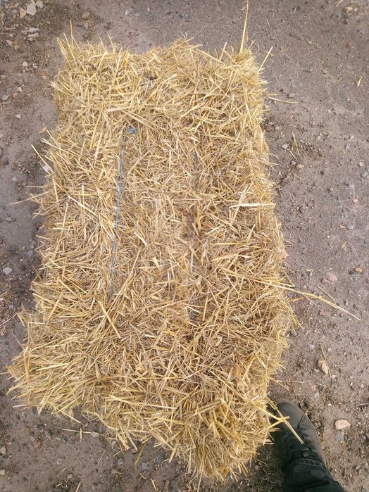 Продам ячневую и пшеничную солому