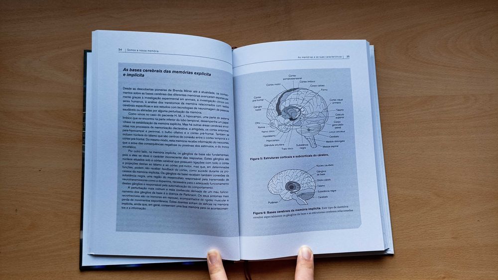 Livro "Somos a Nossa Memória: Recordar e Esquecer"