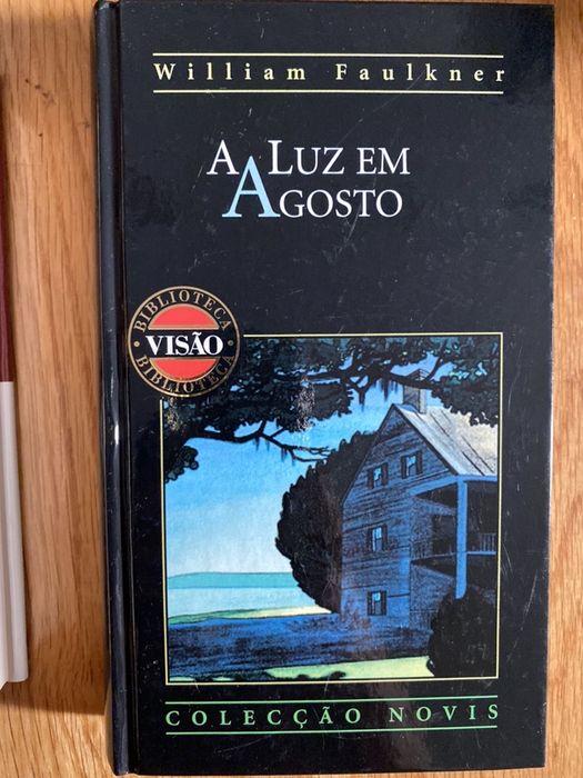 Vários livros novos