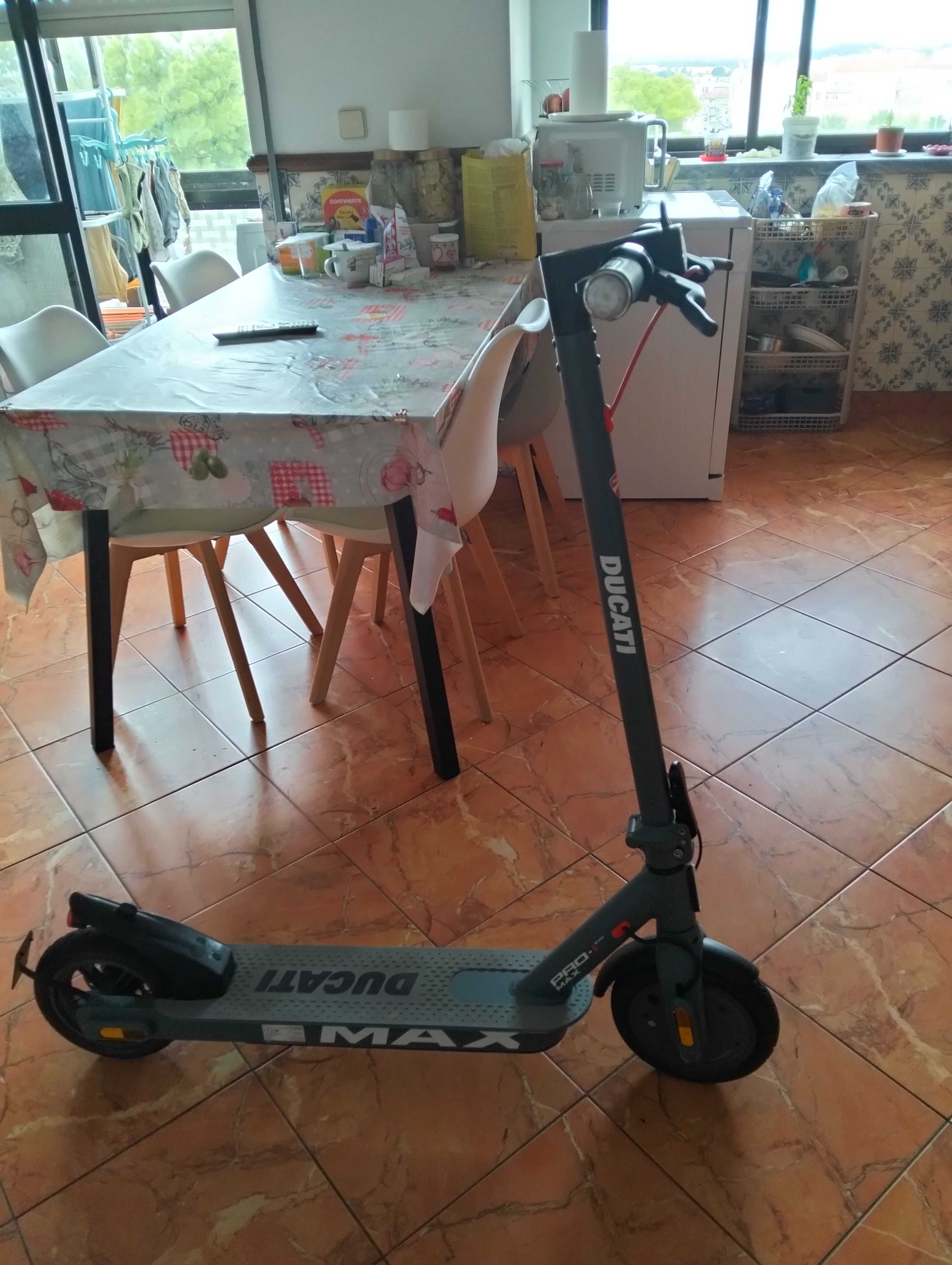 Pro 1 max ducati