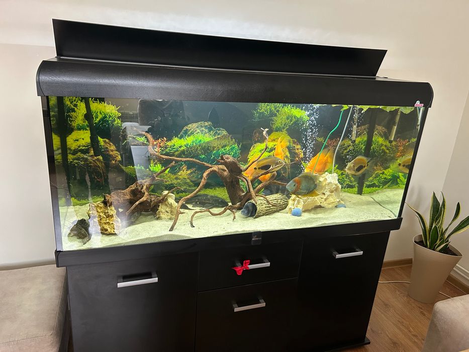 Akwarium 450l z życiem