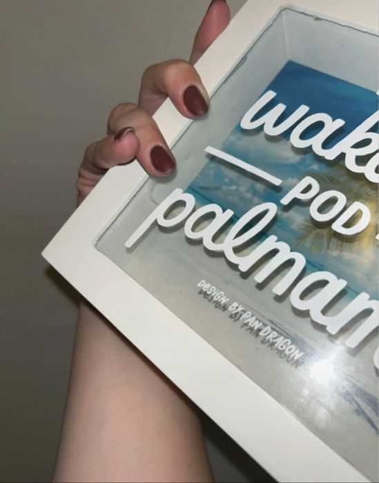 Skarbonka design by Pan dragon