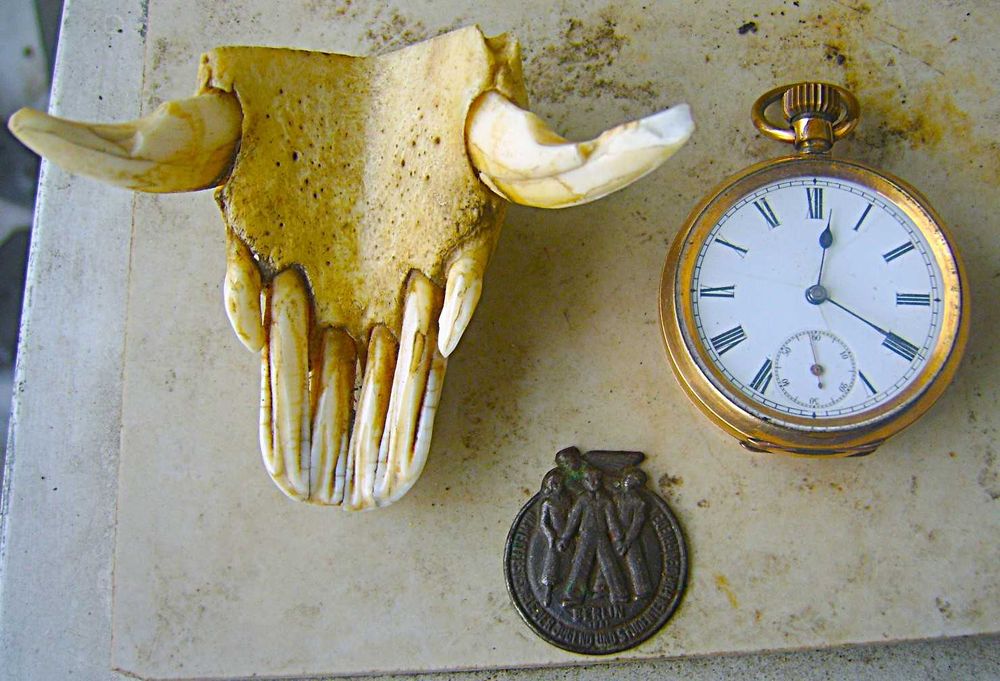 Przeklęty Złoty Zegarek +Szczęka Diabła z Opuszczonego Szpitala Psych.