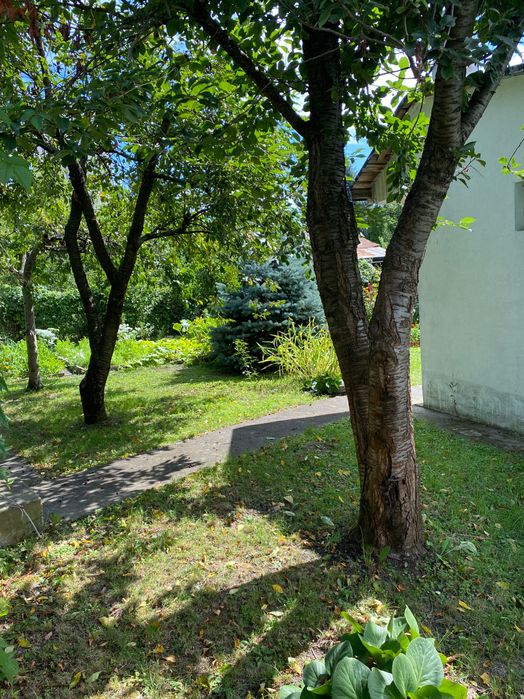 Dzialka RODO -  Kepa Potocka Warszawa