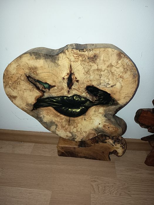 Plaster kasztanowca zielona żywica