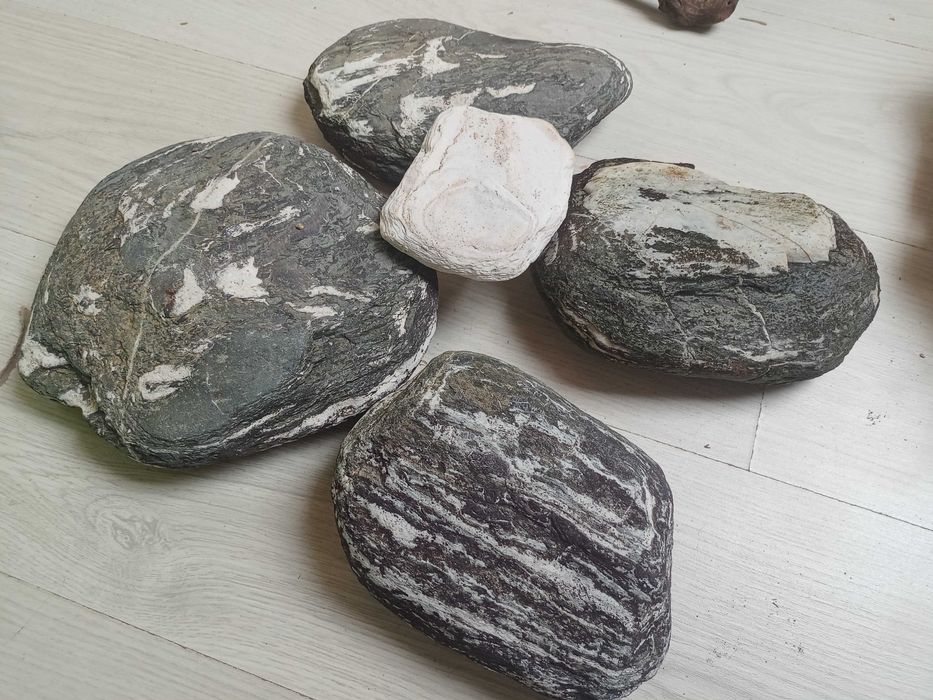 Kamienie do akwarium płaskie dla pielęgnic