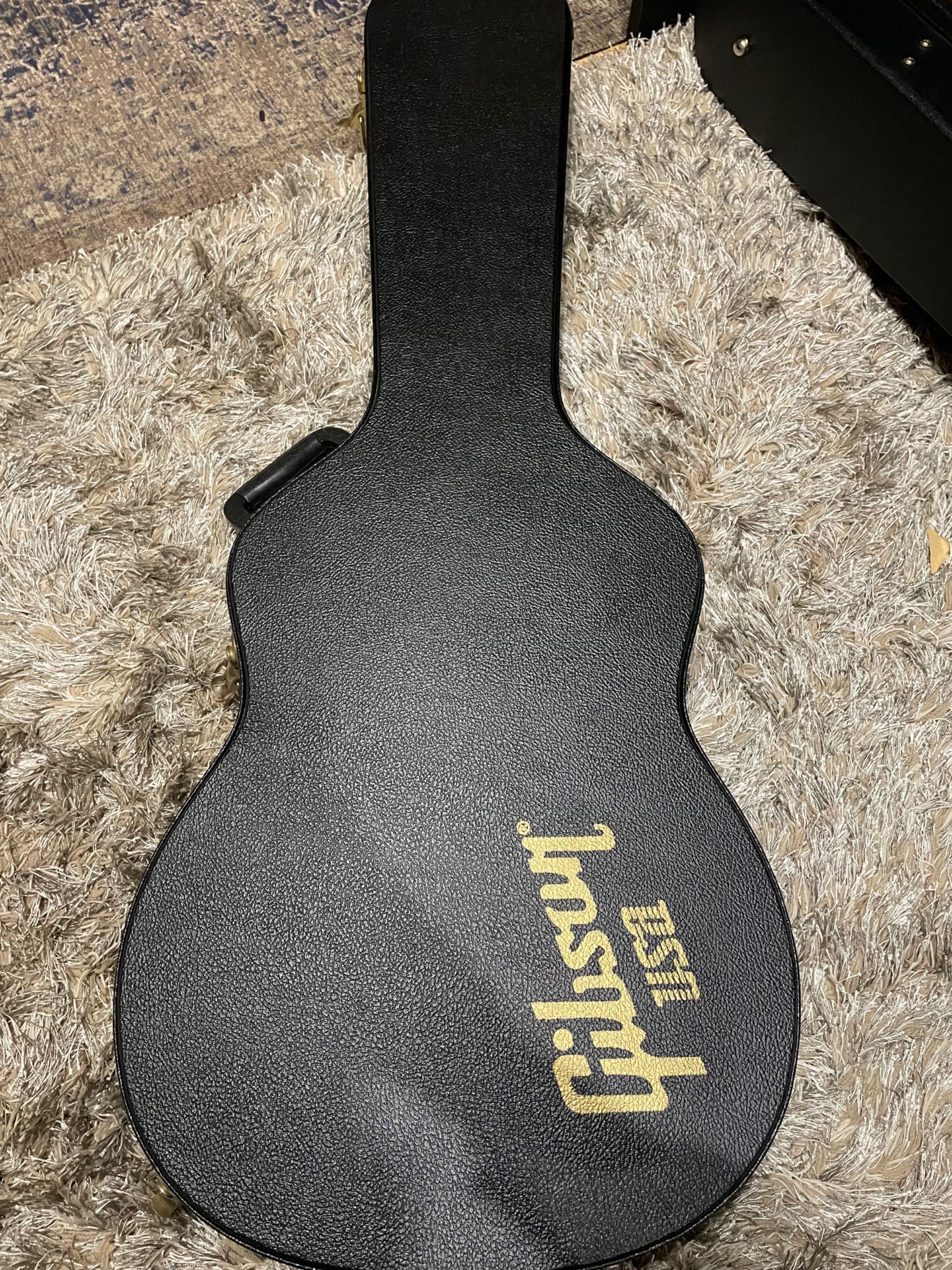Gibson Vegas ES gitara semihollow body