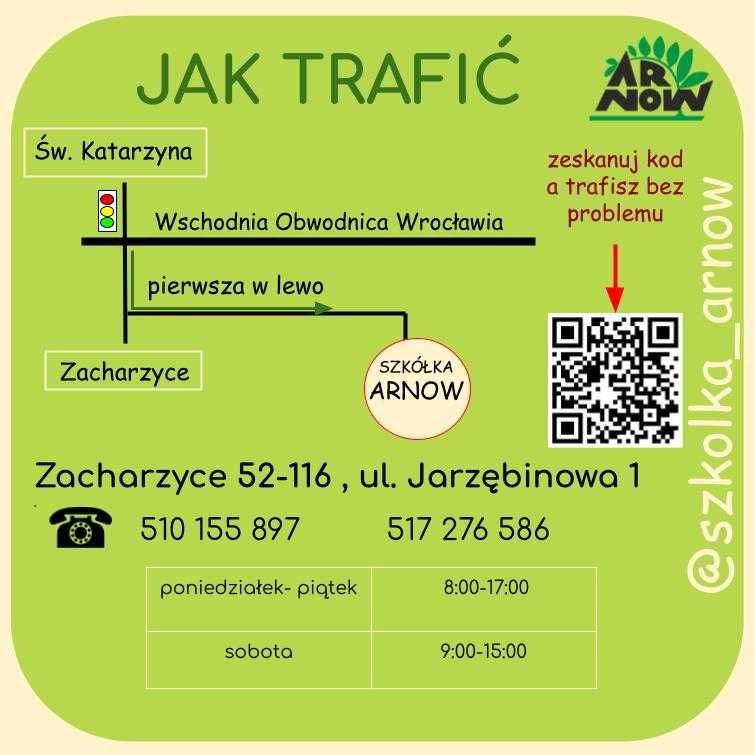wiąz Camperdownii