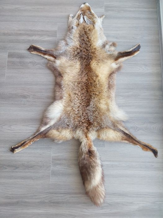 Tapete - Pele de raposa