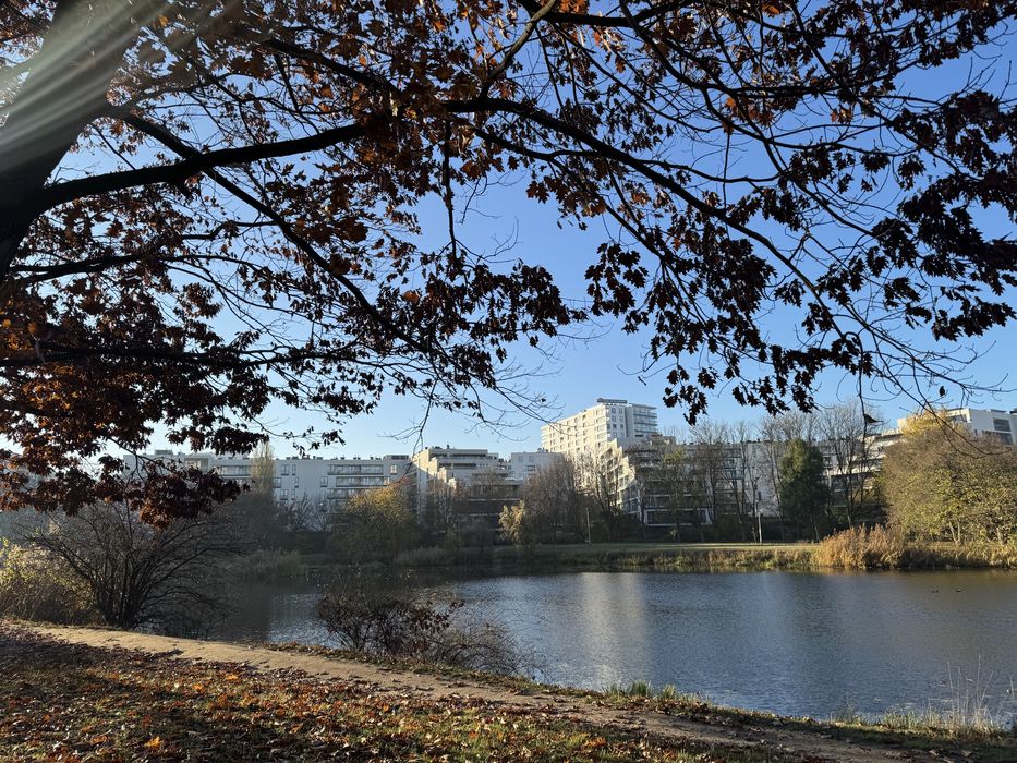 Bezpośrednio – osiedle Apartamenty Saska nad Jeziorem