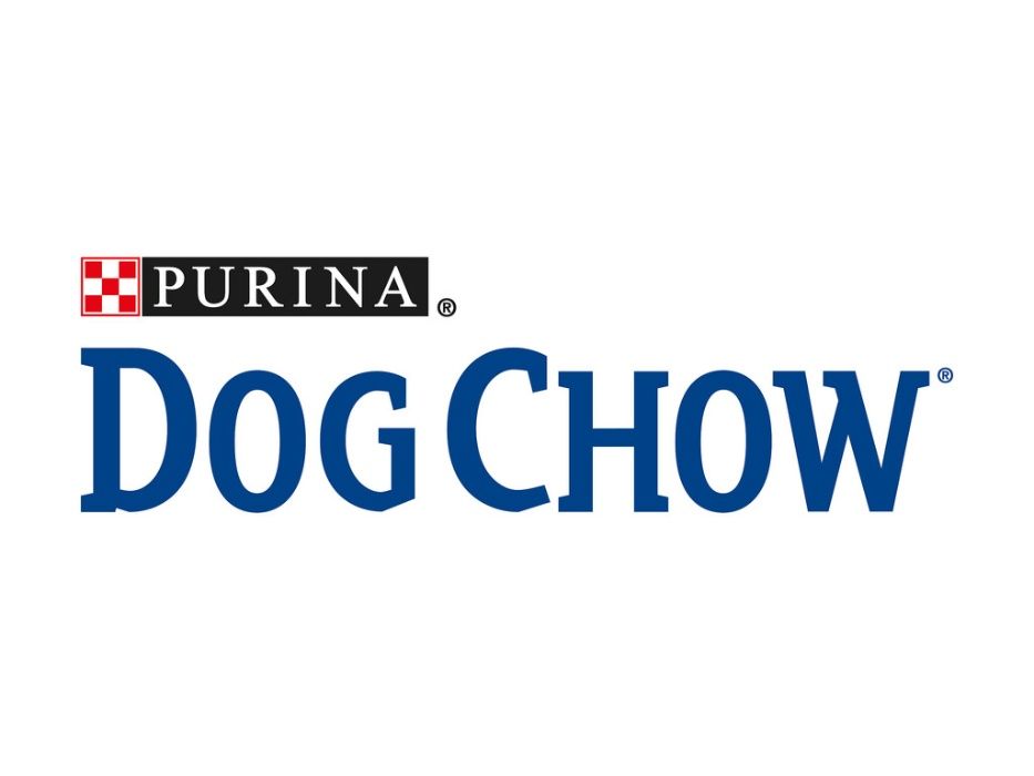 Ração Cão Purina Dog Chow Salmão 14kg