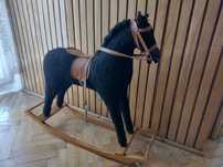 Konik na biegunach