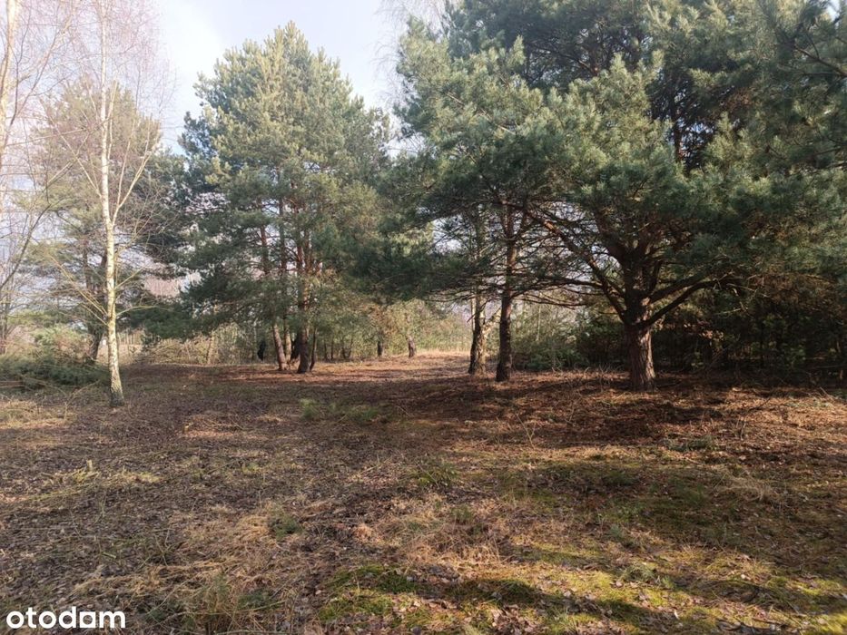 Działka budowlana (MN) 0.1143 ha Łuszczów Pierwszy