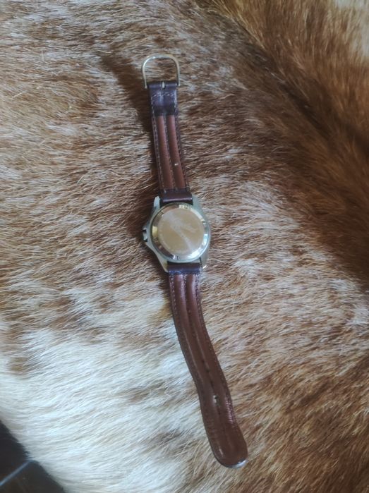 Relógio autêntico latino