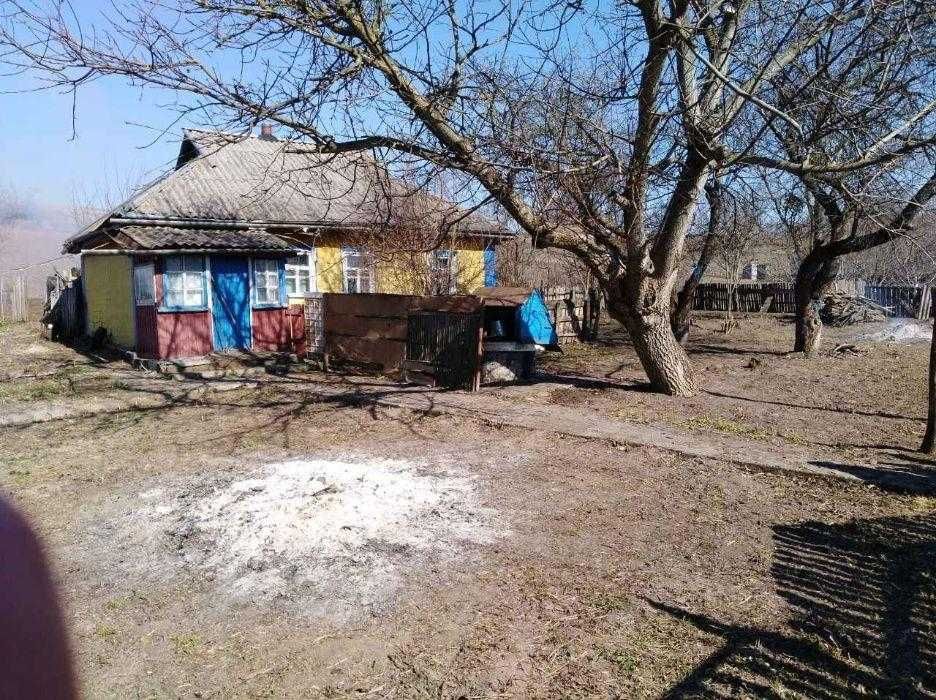 Ділянка зі старим будинком с. Половецьке Богуславський р-н.