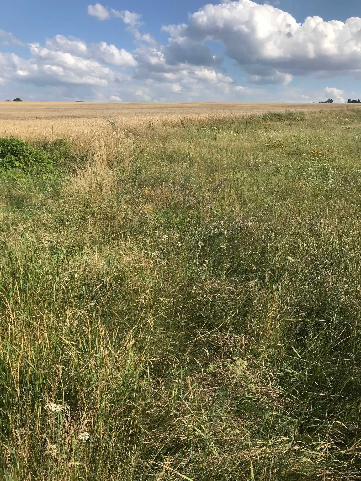 sprzedam działkę rolno - budowlaną w Czarnowie gmina Górzyca