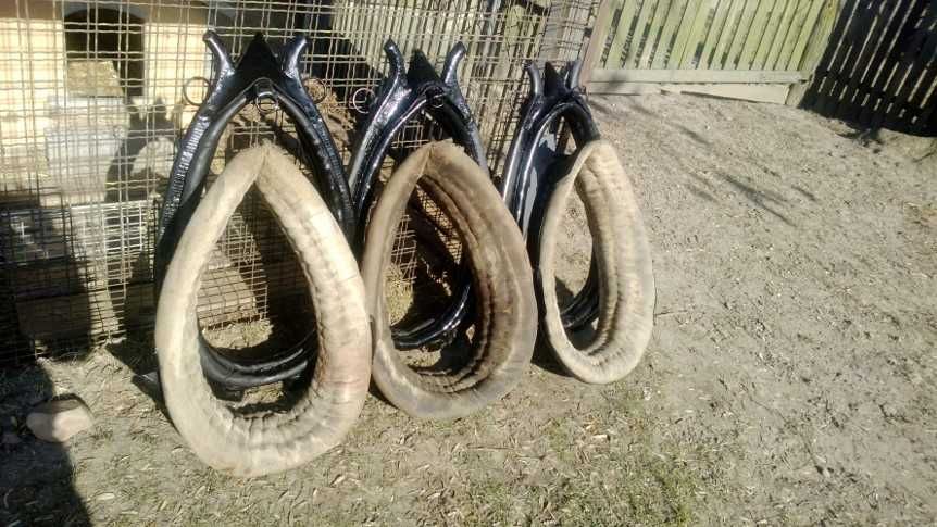 Chomąto różne rozmiary homonto chomonto dla konia